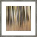 Dreamy Forest Framed Print