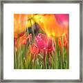 Drenched In Sunlight Framed Print