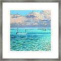 Drifting The Reef Framed Print