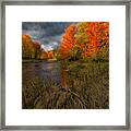 Driftwood And Autumn Colors Framed Print