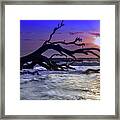 Driftwood Beach 9 Framed Print