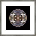 Driftwood Looking Out For Each Other Kaleidoscope Framed Print