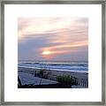 Driftwood Framed Print