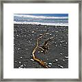 Driftwood - Okarito Beach - New Zealand Framed Print