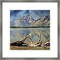 Driftwood On Jackson Lake Framed Print