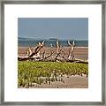 Driftwood With Baracles Framed Print