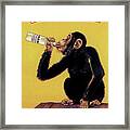 Drinking Monkey Poster Framed Print