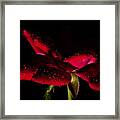 Droplets Framed Print