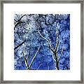 Dry Tree Is A Masterpiece Framed Print