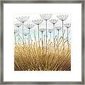 Duck Egg Alliums Framed Print