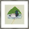 Duck On Pond #2 Framed Print