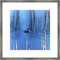 Duck Pond Framed Print