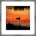 Duck Silhouette Framed Print