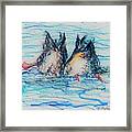 Duck Tails Framed Print