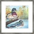Wood Ducks Framed Print