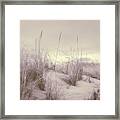 Dune Grass Framed Print