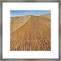 Dunes Framed Print