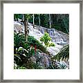 Dunn's River Falls Jamaica Framed Print
