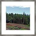 Dunster Forest Framed Print