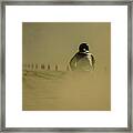 Dusty Exit Framed Print