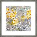 Dusty Miller- Abstract Floral Painting Framed Print