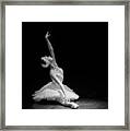 Dying Swan Ii Alternative Size Framed Print