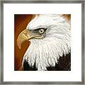 Eagle American Framed Print