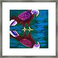 Eagle Framed Print