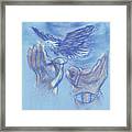 Eagle Flying In Freedom - Bgeff Framed Print