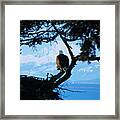 Eagle - Mt Baker - Eagles Nest Framed Print