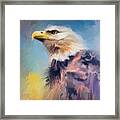 Eagle On Guard Framed Print