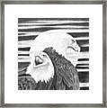 Eagles Framed Print