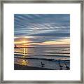 Early Birds Framed Print