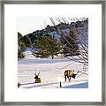 Early In The Morning Framed Print