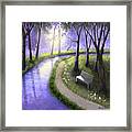 Early Morning In The Park Framed Print