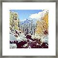 Early Snow Framed Print