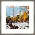 Early Snow Of Santa Fe National Forest Framed Print