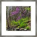 Early Spring On Mill Creek 2 Framed Print