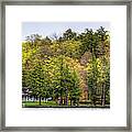 Early Spring Panorama Framed Print