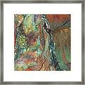 Earth Of India Framed Print