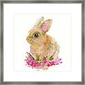 Easter Bunny Framed Print
