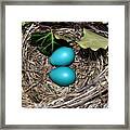 Easter Eggs Framed Print