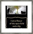 Easter Lily With Song Of Songs Quote Framed Print