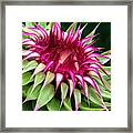 Easy To Slip Framed Print