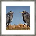 Edge Of The Pond Framed Print