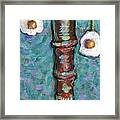 Egg Plant Framed Print