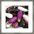 Eggplant Varieties Framed Print