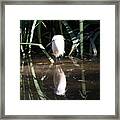 Egret In Reed Framed Print
