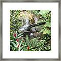 El Yunique Rainforest 1 Framed Print