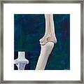 Elbow And Function Framed Print